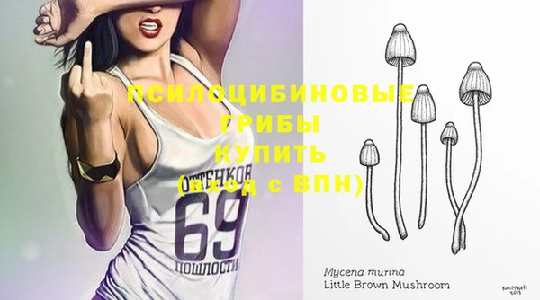 тгк Новодвинск