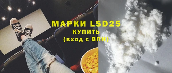 тгк Новодвинск