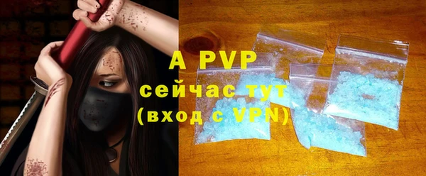 тгк Новодвинск