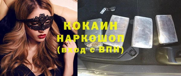 тгк Новодвинск