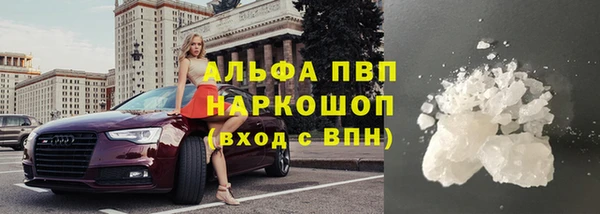 гидра Новокубанск