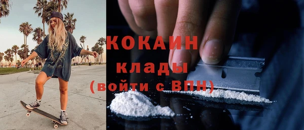 тгк Новодвинск