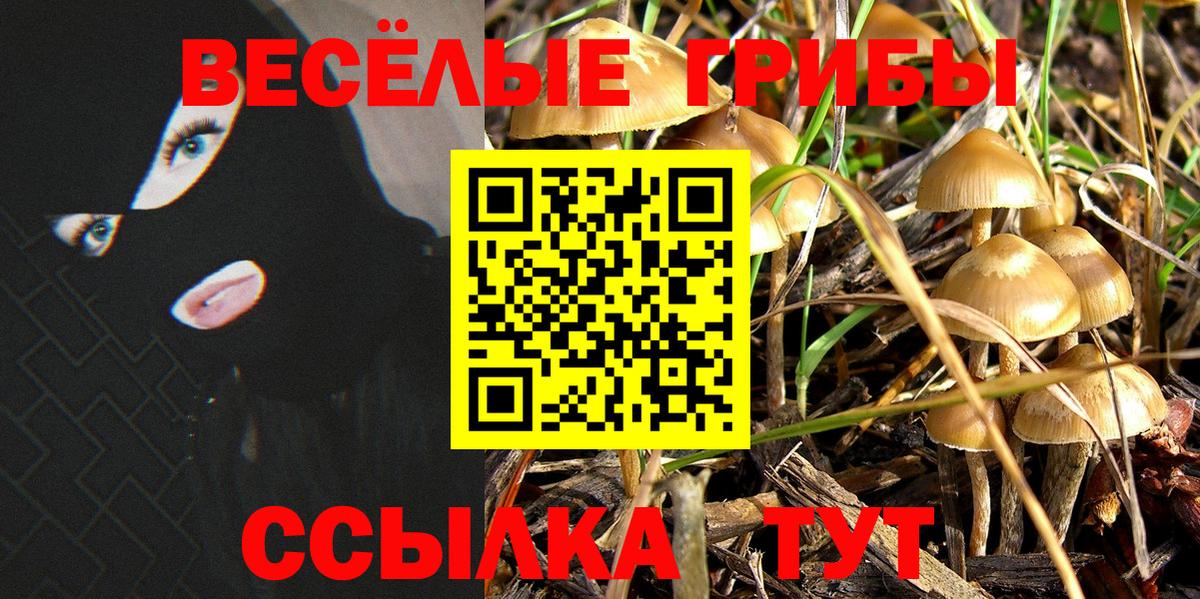 Гарик  Мяу-Мяу  LSD-25  Конопля  Молли  КОКАИН  Мяу-Мяу  Старая Русса  Альфа-ПВП  Марихуана  Вход с VPN 