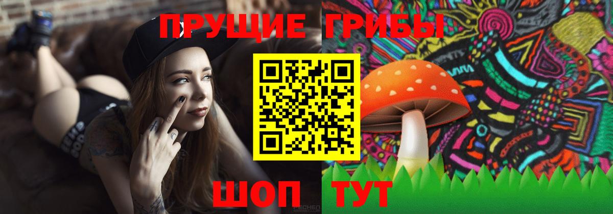 Псилоцибиновые грибы MAGIC MUSHROOMS  Псилоцибиновые грибы Cubensis  Старая Русса  купить   Вход с VPN 